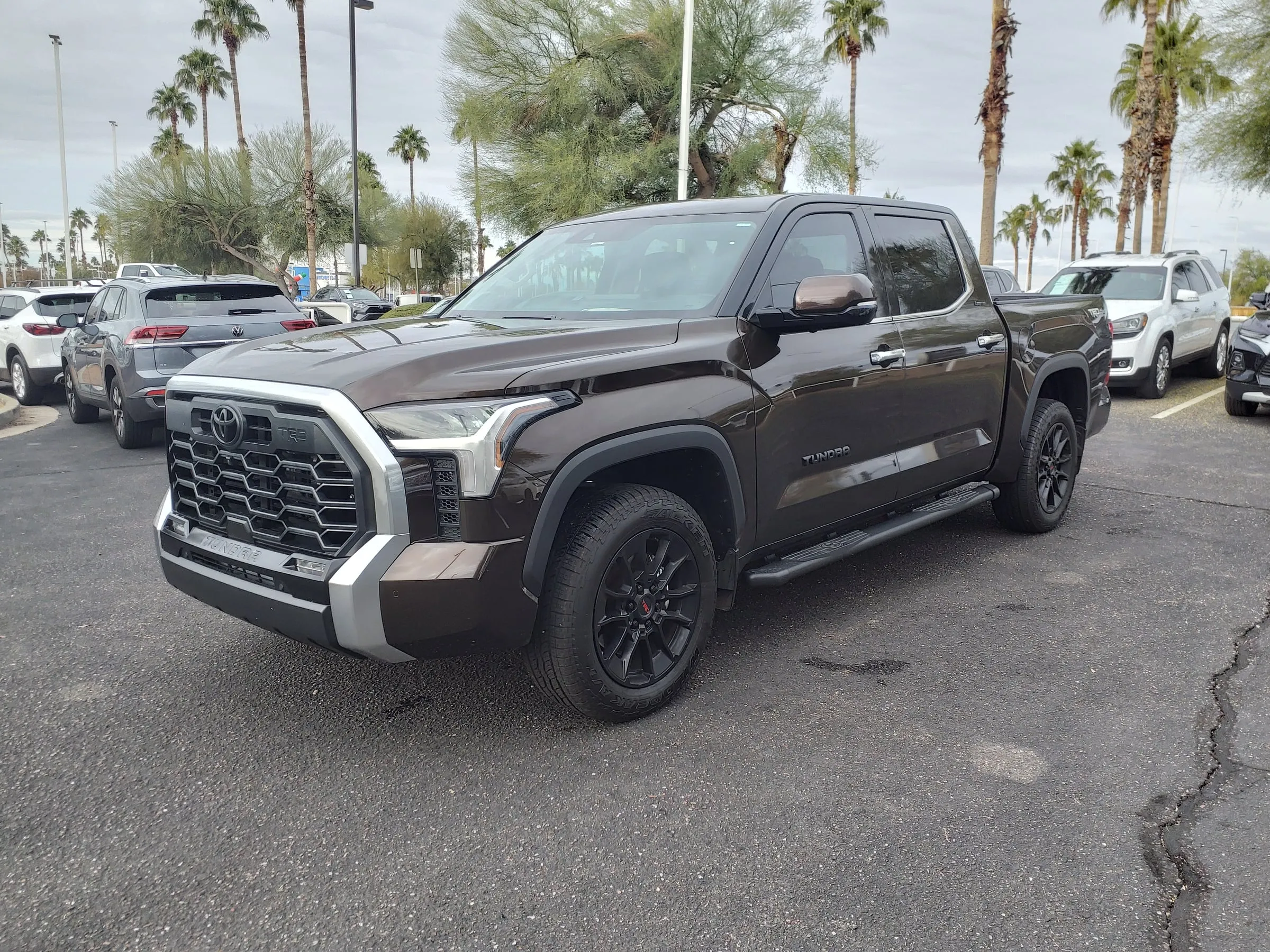 A dark brown Toyota Tundra Limited CrewMax, front three-quarter view, parked on a lot lined with palm trees