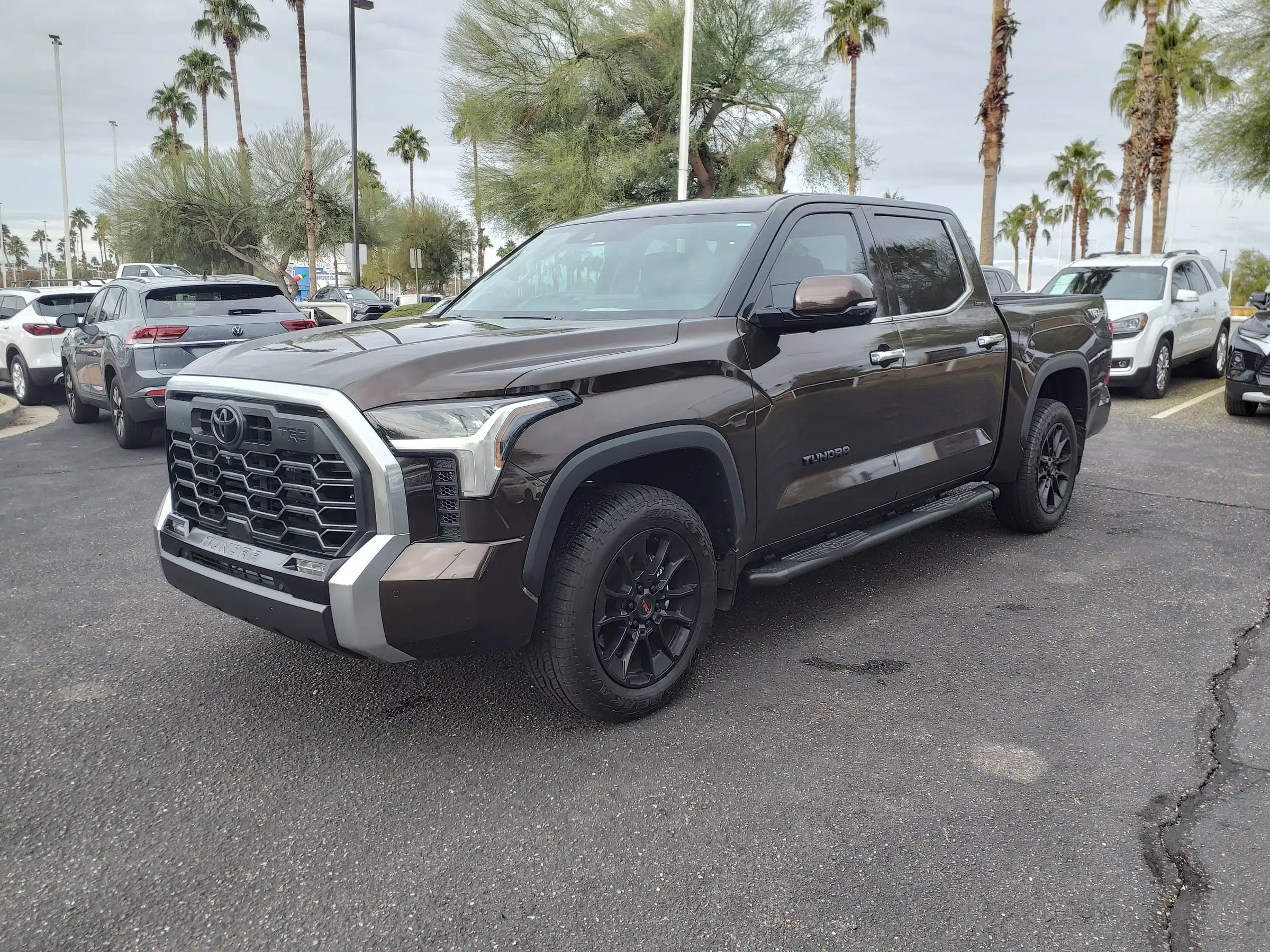 A dark brown Toyota Tundra Limited CrewMax, front three-quarter view, parked on a lot lined with palm trees